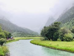 -稻城亚丁景区-冲古草甸