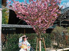 -京都冈本和服体验租赁店(清水寺店)