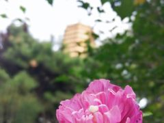 -玲珑塔公园