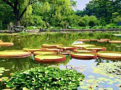 -国家植物园南园