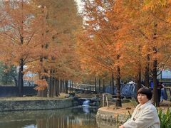 -白水寺森林公园