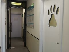 -爱诺耐芙动物医院(万博店)