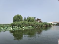 -白洋淀景区