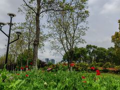 -石湖景区