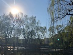 -玲珑塔公园
