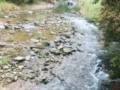-龙湾潭国家森林公园