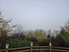 -南翠屏公园