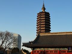 -西海子公园
