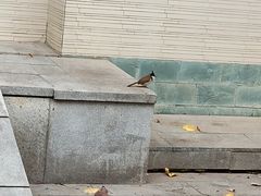 -晓港公园