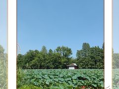 -东湖磨山景区