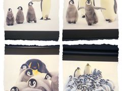 -罗红摄影艺术馆