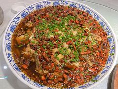 来凤鱼-新概念来凤鱼(璧山店)