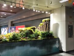 -福州长乐国际机场