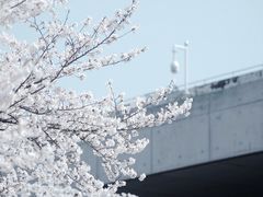 -上海辰山植物园