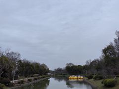 -上海海湾国家森林公园