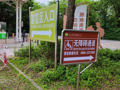 -广东茂名森林公园