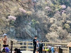 -少华山国家森林公园