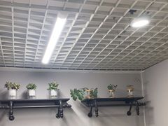 -小象国照相馆(宝山万达店)