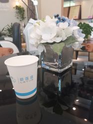-碧莲盛·不剃发植发