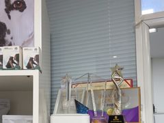 -瑞派福兴宠物医院犬猫全科·骨科·中西医结合(河东店)