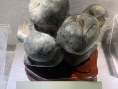 -河南自然博物馆