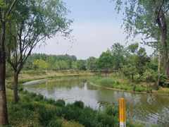 -东郊湿地公园