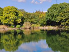 -上海共青森林公园