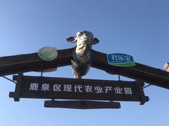 -君乐宝优致牧场