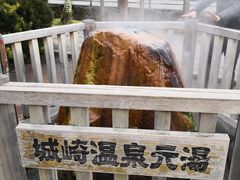 -城崎温泉 外七汤