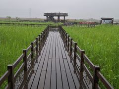 -宁波杭州湾国家湿地公园