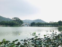 -顺峰山公园
