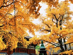-红螺寺