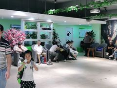 -学知乐教育·幼小衔接·小学科辅导(嘉定镇校区)