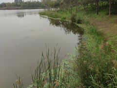 -东郊湿地公园