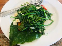 清炒丝瓜苗-Chom Cafe and Restaurant