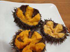 -海胆小馆(东北水饺·春柳店)