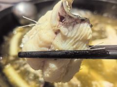 -费明中罗非鱼(大石坝店)