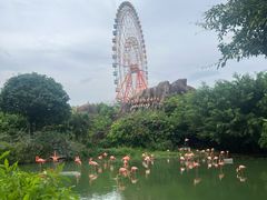 -芽庄珍珠岛游乐园