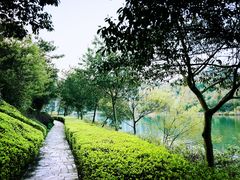 -天目湖涵田半山温泉