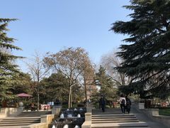 -大雁塔北广场音乐喷泉