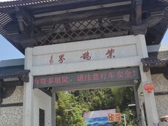 -紫鹊界梯田景区
