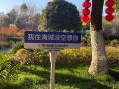 -常州淹城野生动物世界