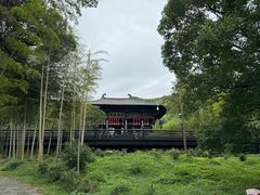 -大唐贡茶院