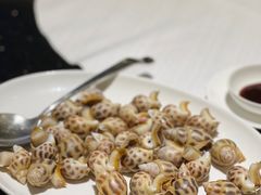 本地花螺-协成海鲜火锅(海洋花园店)
