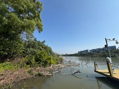 -华侨城湿地公园