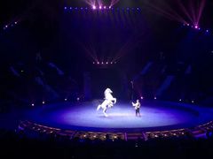 -珠海横琴长隆《卡卡虎奇遇记》