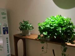 -璞禅足道(观音桥旗舰店)