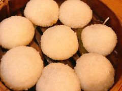 茨毛圆子-双塔老饭店