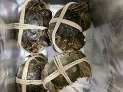-阳澄湖大闸蟹·琼灵阁牌品牌连锁(吴中总店)
