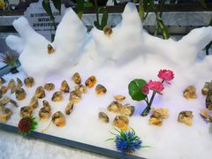 -川骄海鲜自助(河东店)